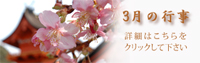 3���̍s��